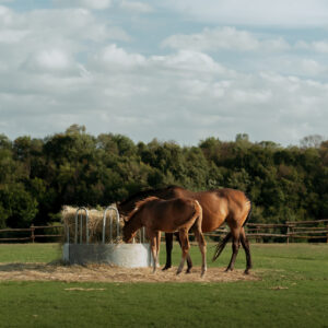 Nyári Egyetem 2025 - 2 fős szoba